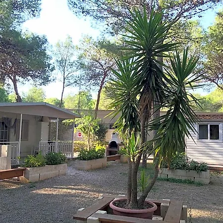 Πάρκο διακοπών Riva Dei Greci Village Metaponto