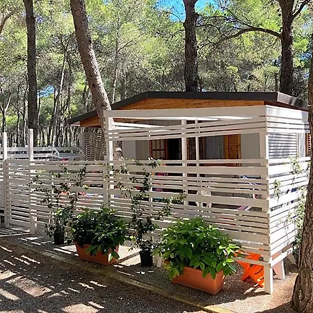 Πάρκο διακοπών Riva Dei Greci Village *